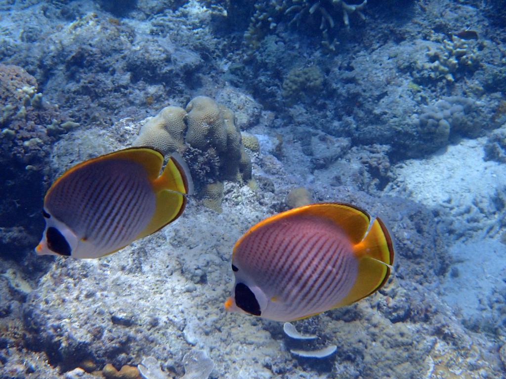 Meno Island * Gili Meno